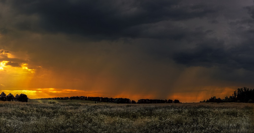 Фотографія Десь знову падають дощі… / svandrii (Андрій) / photographers.ua