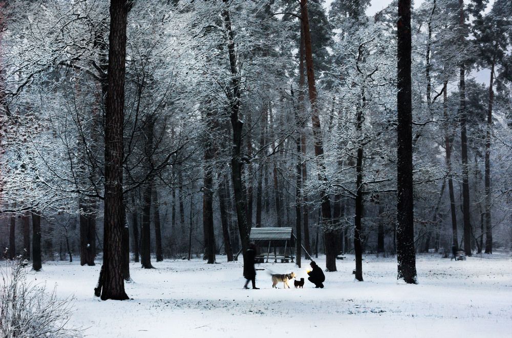 Фотографія Посміхайтесь! З першим снігом! :) / svandrii (Андрій) / photographers.ua