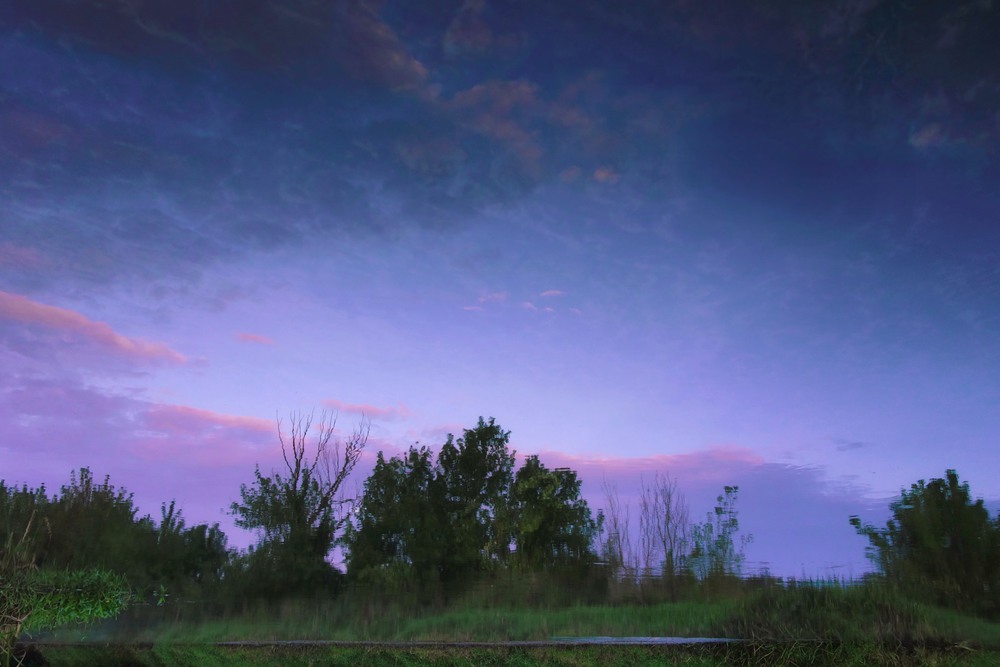 Фотографія "рожевість" закатів по воді... / svandrii (Андрій) / photographers.ua