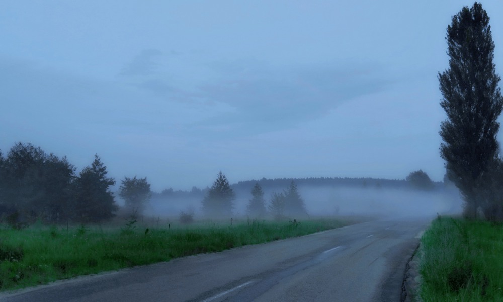 Фотографія "За синими туманами, загадочными, странными..." / svandrii (Андрій) / photographers.ua