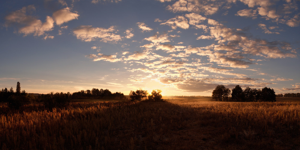 Фотографія Над полями над лісами тихо сонечко сідало / svandrii (Андрій) / photographers.ua