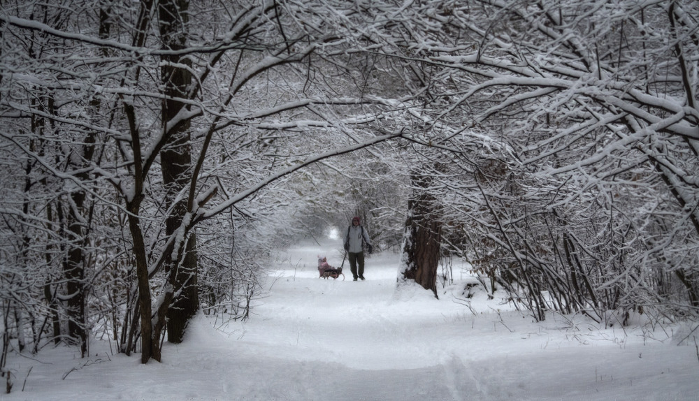 Фотографія Як подобається мені зима... / svandrii (Андрій) / photographers.ua