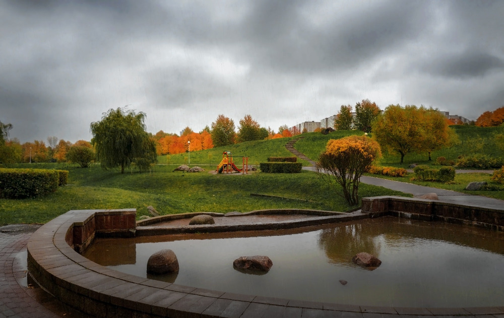 Фотографія Осінь в парку -  барви грають, сумний дощ спадає / svandrii (Андрій) / photographers.ua