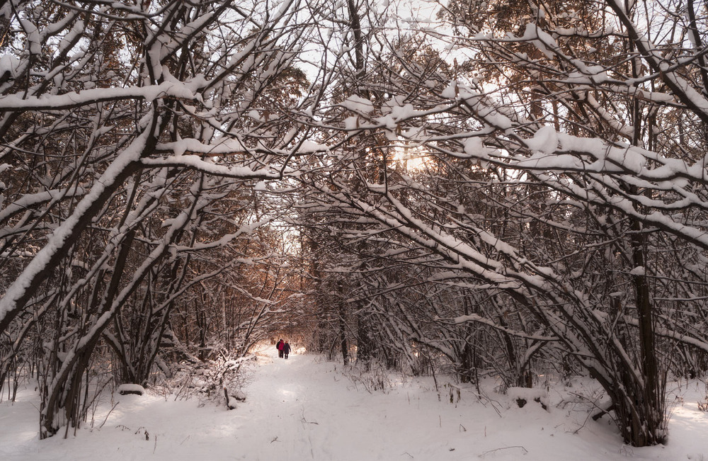 Фотографія "Сніжни й" променад / svandrii (Андрій) / photographers.ua