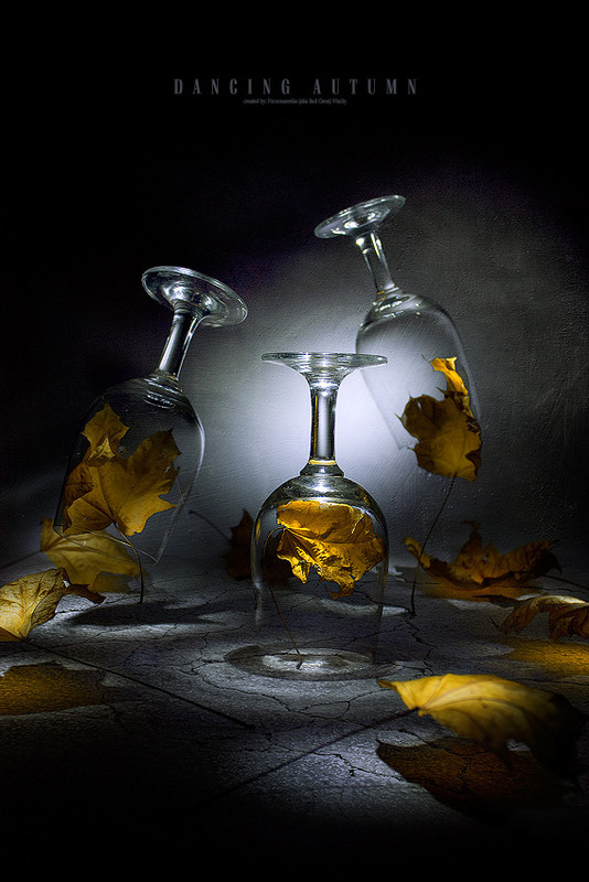 Фотографія Dancing autumn / Виталий Пономаренко / photographers.ua