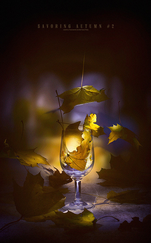 Фотографія Savoring autumn #2 / Виталий Пономаренко / photographers.ua