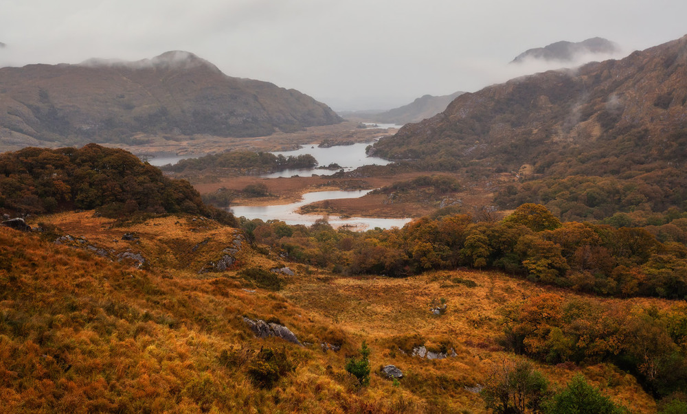 Фотографія Осенняя красота... Природа Ирландии... / Александр Вивчарик / photographers.ua