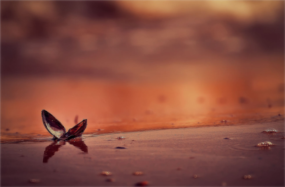 Фотографія Ох,,, как хочется лета...Вечерело.Закат на Черном море... / Александр Вивчарик / photographers.ua