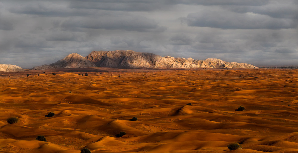 Фотографія Переменчивая пустыня Руб-эль-Хали...ОАЭ... / Александр Вивчарик / photographers.ua