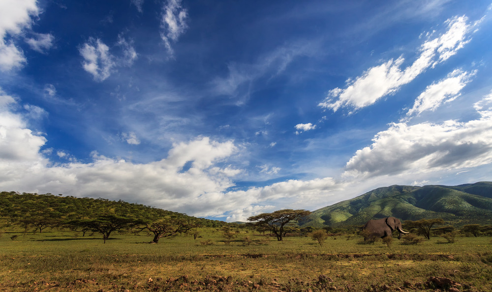Фотографія Путешествуя по Танзании! / Александр Вивчарик / photographers.ua