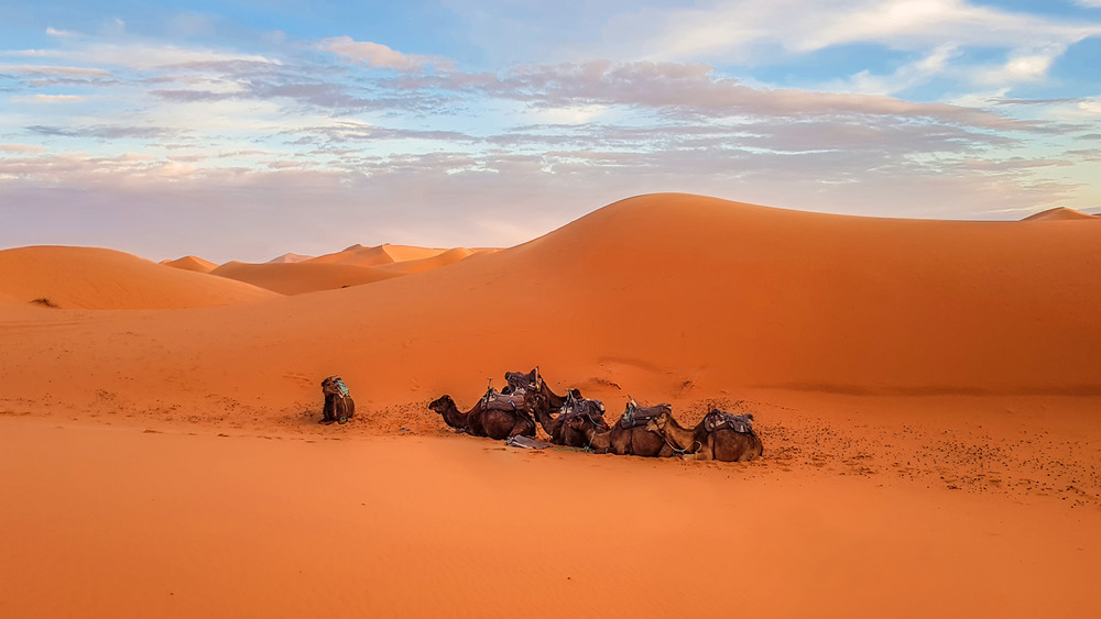 Фотографія Привал...Сахара...Марокко ! / Александр Вивчарик / photographers.ua