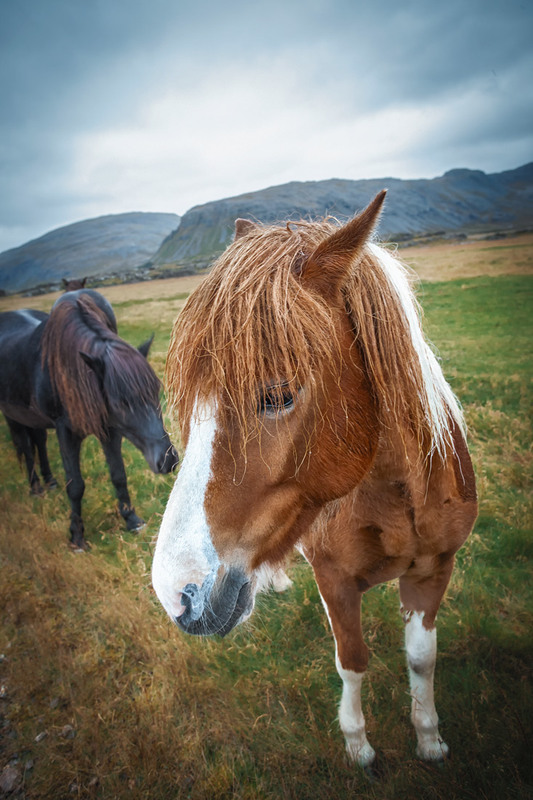 Фотографія Просто красава(модный прикид)...Дорогами Исландии! / Александр Вивчарик / photographers.ua