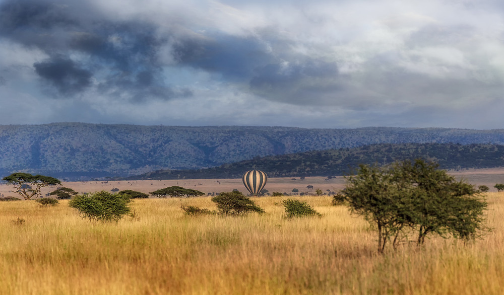 Фотографія Сафари на воздушном шаре...Танзания! / Александр Вивчарик / photographers.ua