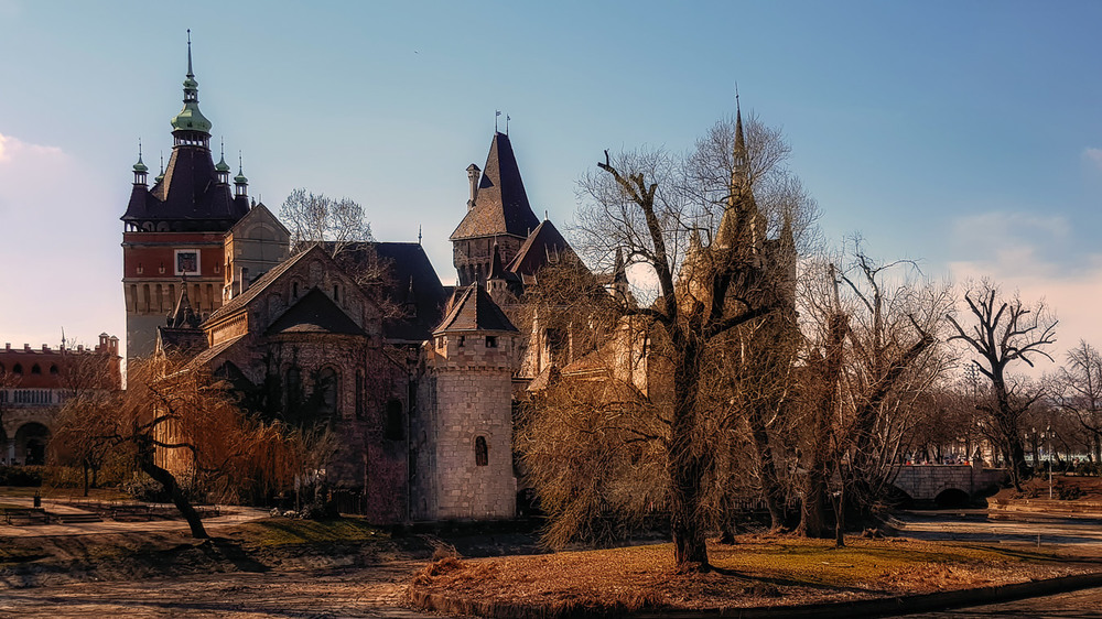 Фотографія Замок Вайдахуньяд — замок в будапештском парке Варошлигет. / Александр Вивчарик / photographers.ua