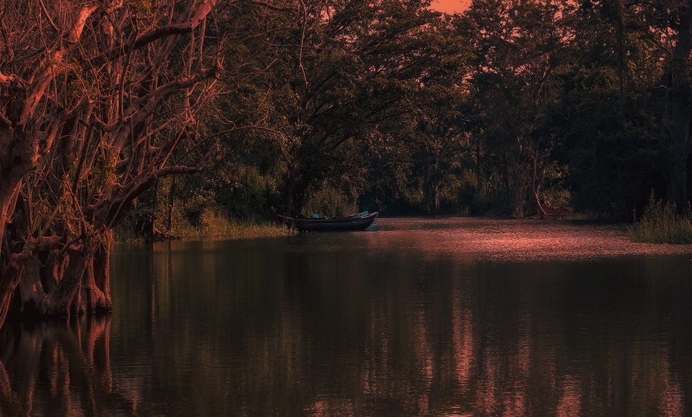 Фотографія Утро в заповеднике... Шри Ланка! / Александр Вивчарик / photographers.ua