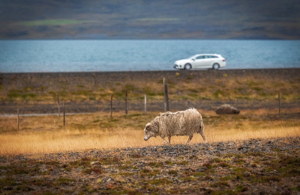 Фотографія "Параллель"... Исландия... / Александр Вивчарик / photographers.ua