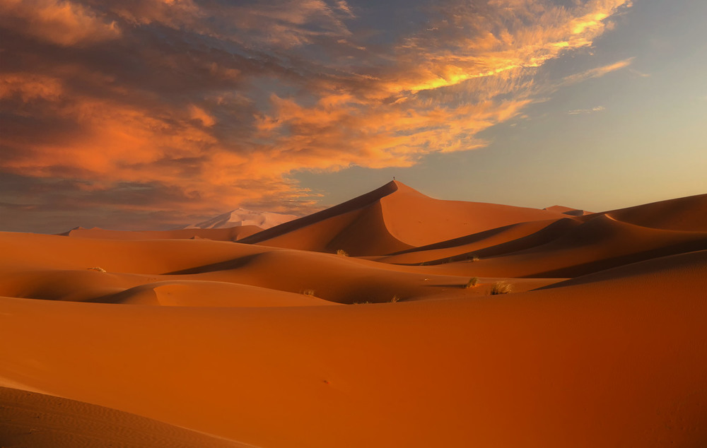 Фотографія Одинокий путник...Пустыня Сахара.Марокко! / Александр Вивчарик / photographers.ua