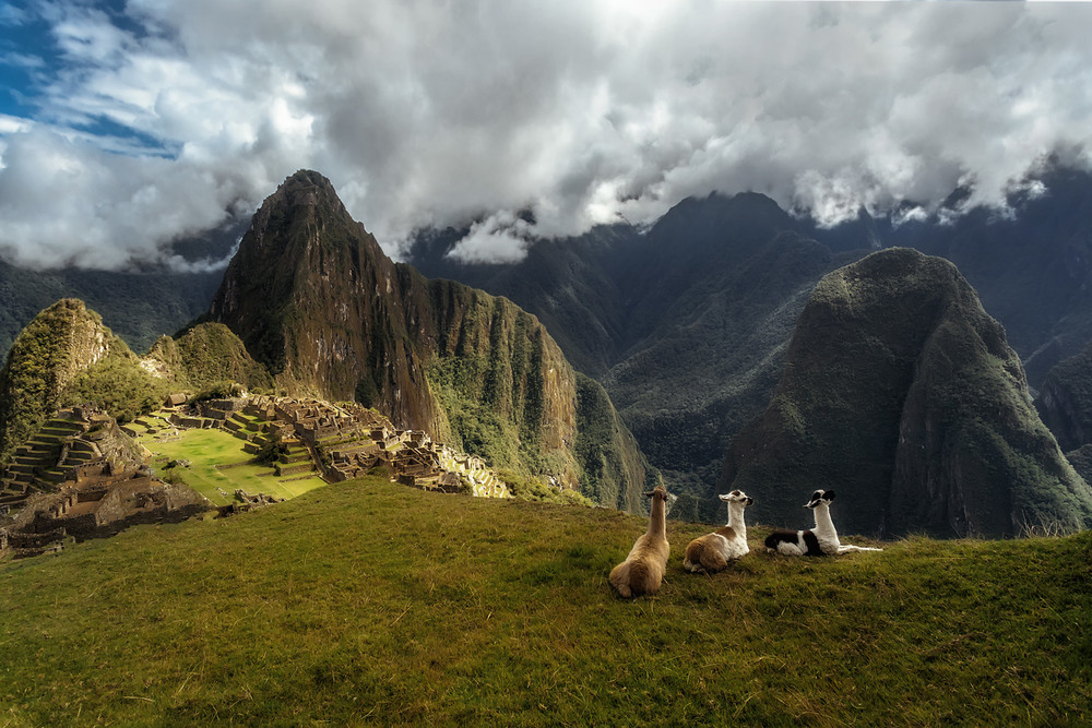 Фотографія Мачу-Пикчу...Перу! продолжение следует... / Александр Вивчарик / photographers.ua