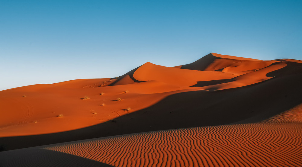 Фотографія Предзакатная...Сахара. Марокко! / Александр Вивчарик / photographers.ua