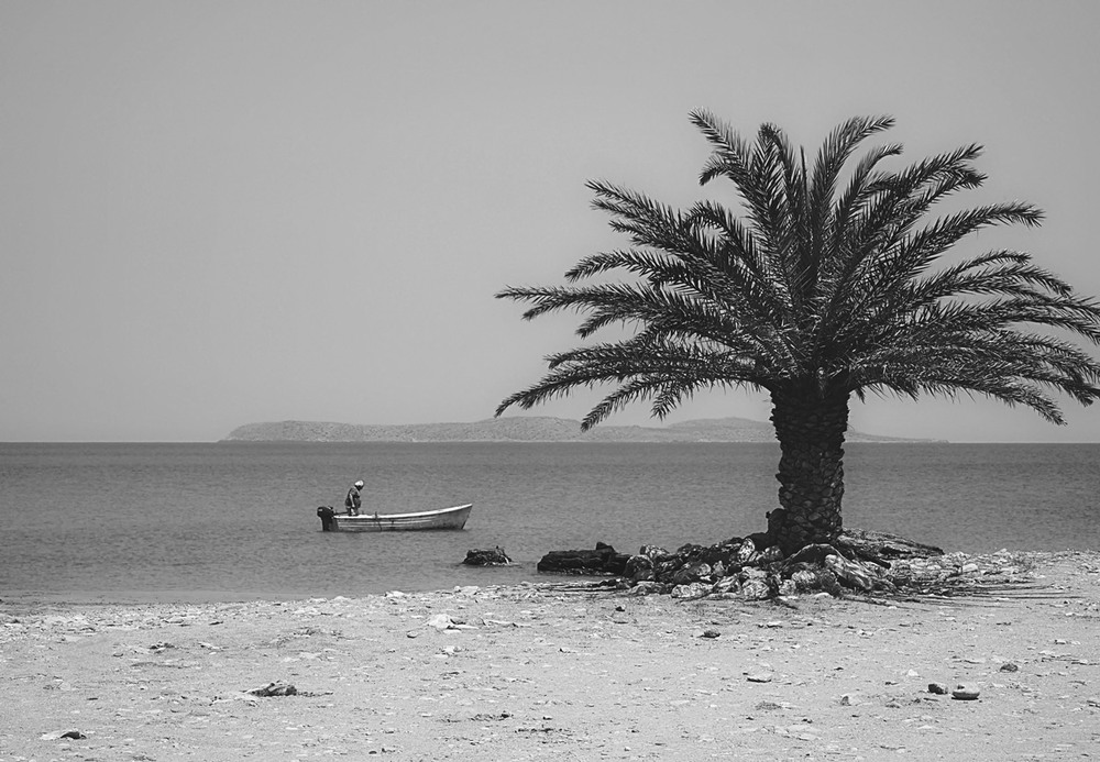 Фотографія Рыбак и пальма... о.Крит.Греция!(архивное). / Александр Вивчарик / photographers.ua