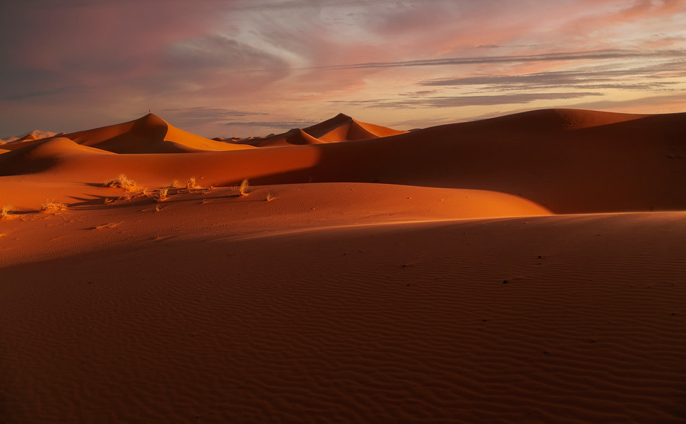Фотографія Вечерело.Одинокий путник...Пустыня Сахара.Марокко! / Александр Вивчарик / photographers.ua