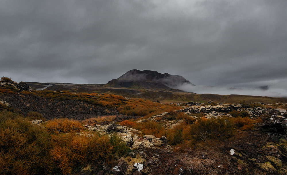 Фотографія Пасмурные краски Исландии... / Александр Вивчарик / photographers.ua