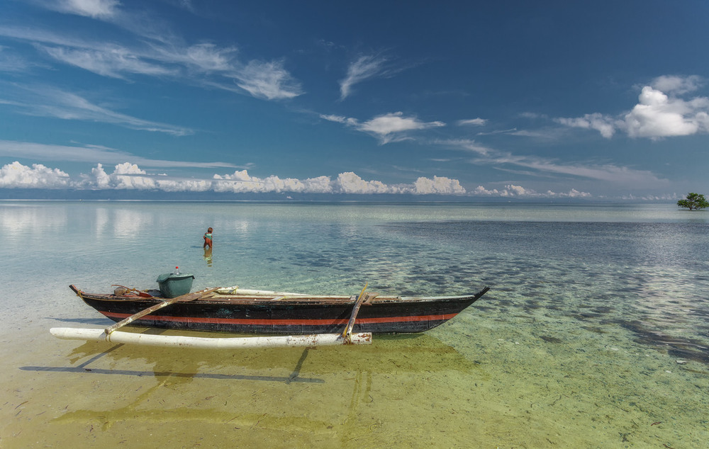 Фотографія Одинокий "рыбак"... Филиппины! / Александр Вивчарик / photographers.ua