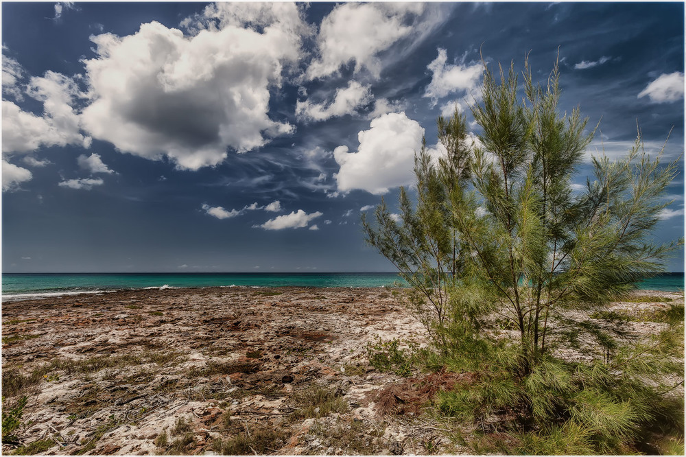 Фотографія "Плайя Хирон"...Период отлива на Карибском побережье Кубы! / Александр Вивчарик / photographers.ua
