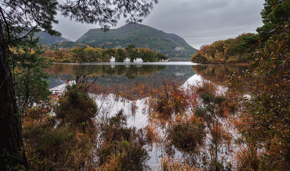 Фотографія Ірландські фарби... / Олександр Вівчарик / photographers.ua