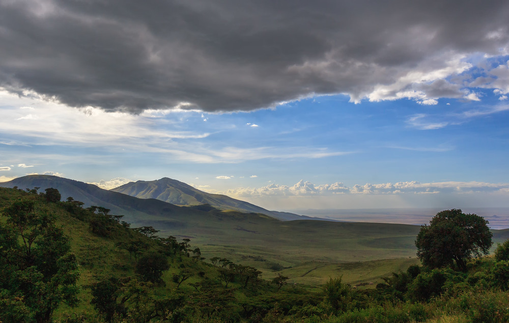 Фотографія Саванна... Танзания! / Александр Вивчарик / photographers.ua