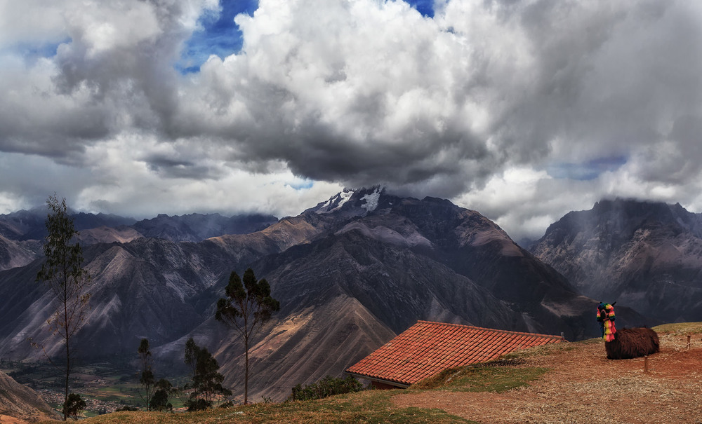 Фотографія Альпака и горы Боливии... / Александр Вивчарик / photographers.ua