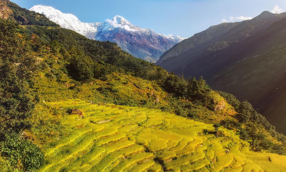 Фотографія Утро в Гималаях...Непал!(из архива). / Александр Вивчарик / photographers.ua