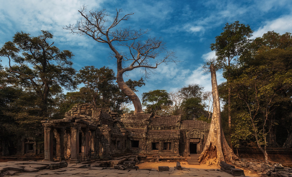 Фотографія Ангкор-Ват...Камбоджа! / Александр Вивчарик / photographers.ua