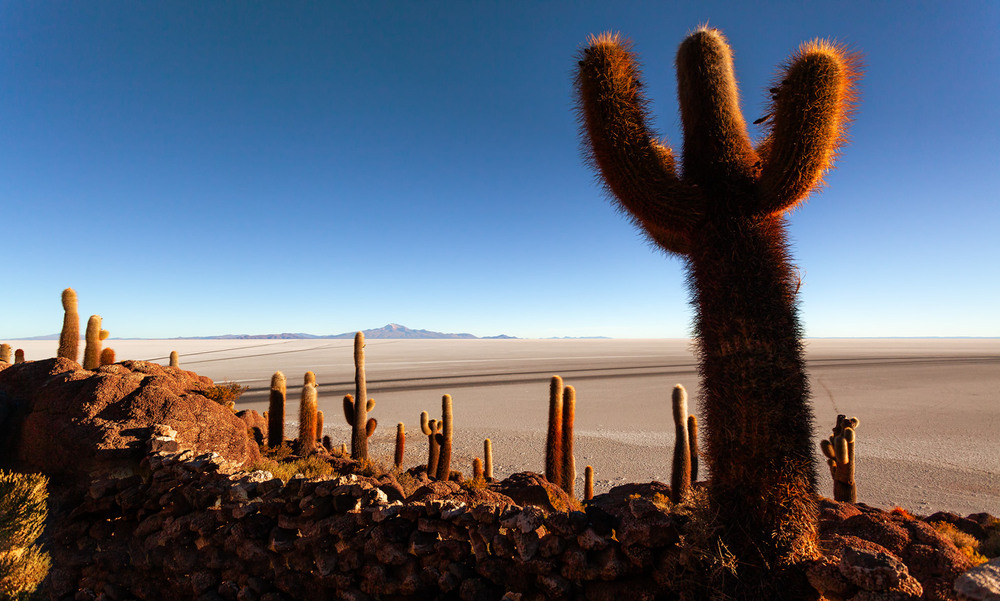 Фотографія Ранок... Острів Інкауасі... Болівія! / Олександр Вівчарик / photographers.ua