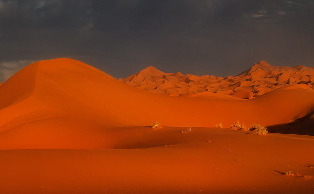 Фотографія Закатные дюны...Марокко! / Александр Вивчарик / photographers.ua
