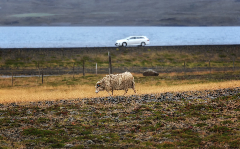 Фотографія Параллели... Исландия! / Александр Вивчарик / photographers.ua
