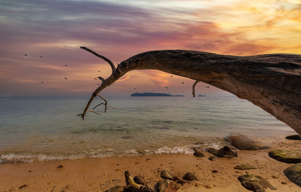 Фотографія Вечерело... Остров Сапи (Кота-Кинабалу, Малайзия). / Александр Вивчарик / photographers.ua