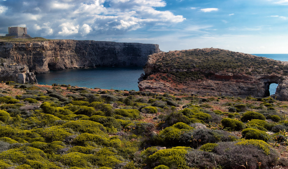 Фотографія Весняна Мальта! / Олександр Вівчарик / photographers.ua