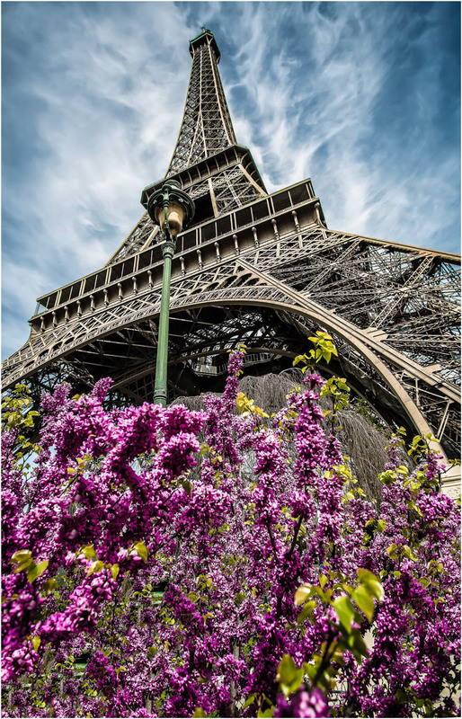 Фотографія Париж...цветы...Эйфелева башня... / Александр Вивчарик / photographers.ua