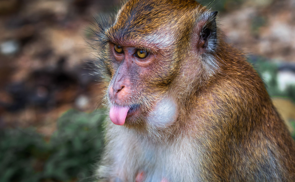 Фотографія Крівляка... / Олександр Вівчарик / photographers.ua