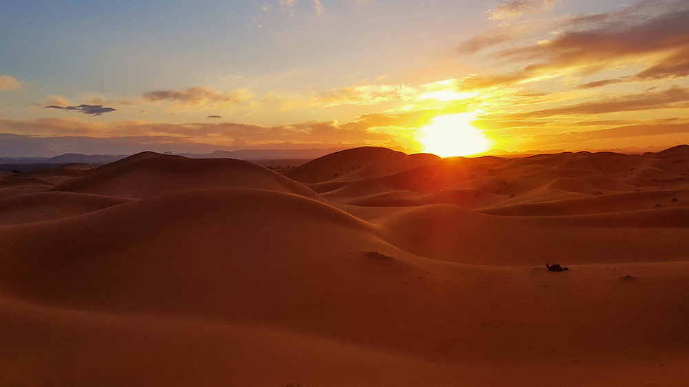 Фотографія Закат...Одинокий путник...Сахара...Марокко !  / Александр Вивчарик / photographers.ua
