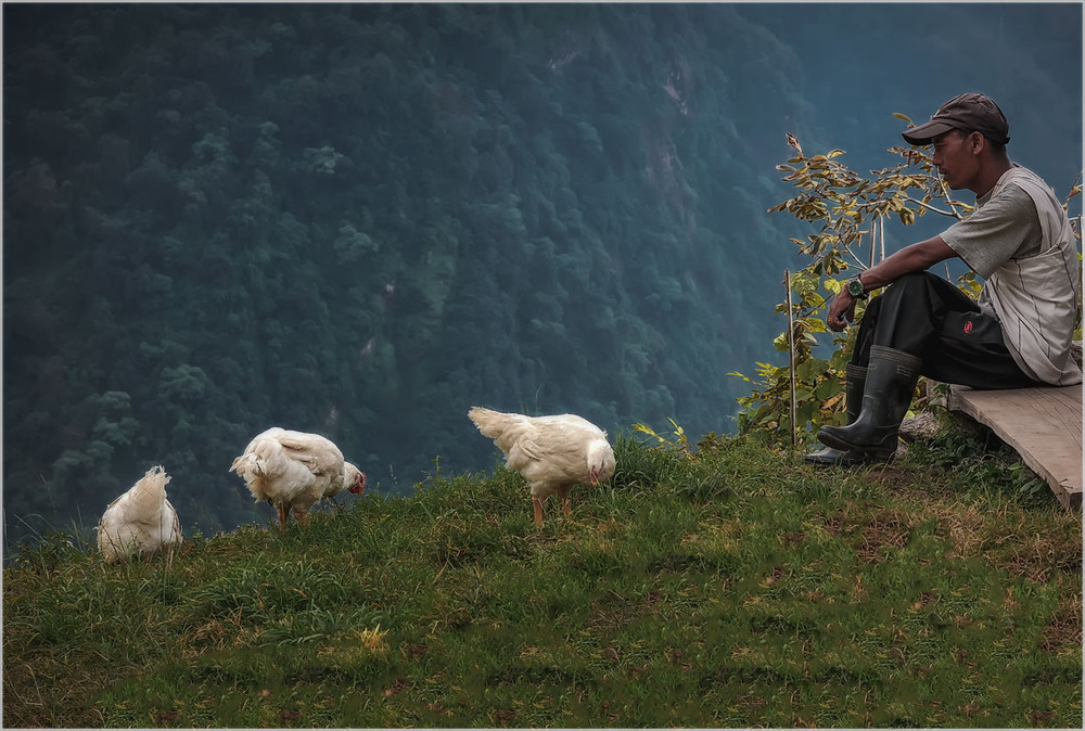 Фотографія На краю земли,на высоте 2900м...Гималаи,Непал!!! / Александр Вивчарик / photographers.ua