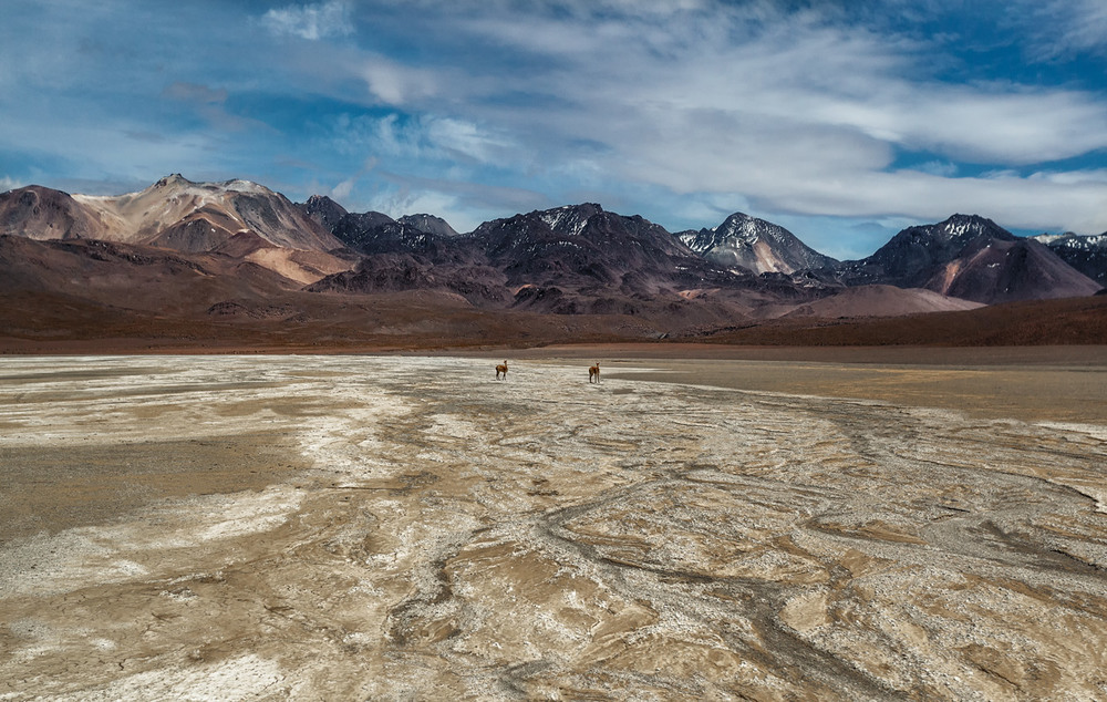Фотографія Путешествуя по Боливии...высота 4500м над уровнем моря! / Александр Вивчарик / photographers.ua