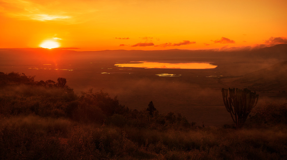 Фотографія Рассвет в национальном парке Нгоронгоро... Танзания! / Александр Вивчарик / photographers.ua