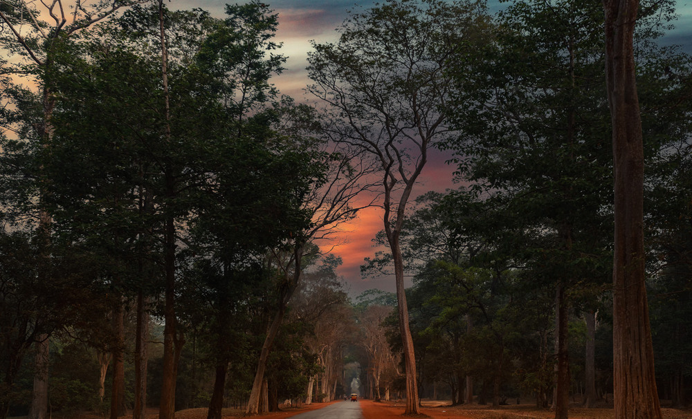 Фотографія Утро в Ангкор-Ват... Камбоджа! / Александр Вивчарик / photographers.ua