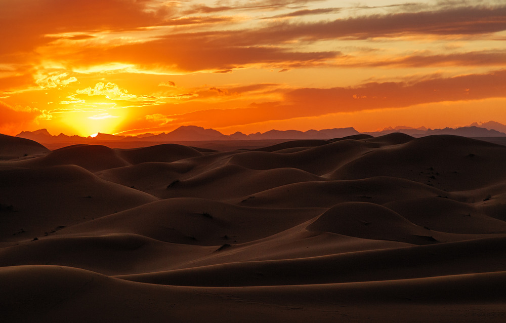 Фотографія Рассвет на дюнах... Марокко! / Александр Вивчарик / photographers.ua
