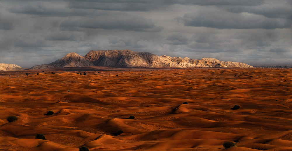 Фотографія Вечерело в пустыне Руб-эль-Хали...ОАЭ... / Александр Вивчарик / photographers.ua
