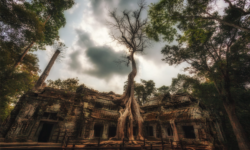Фотографія Ангкор Ват...Камбоджа! / Александр Вивчарик / photographers.ua