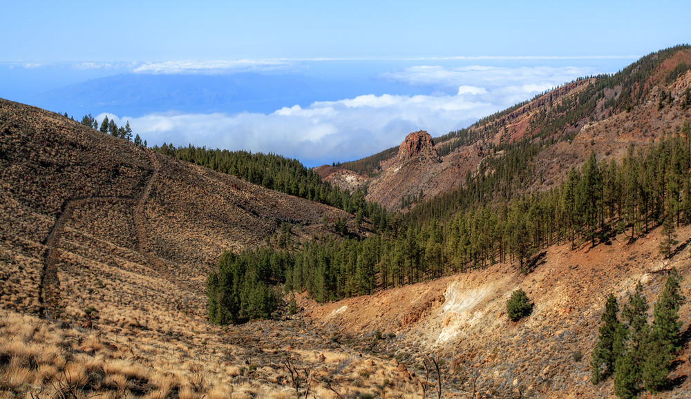 Фотографія Десь на Тенеріфе... Канарські острови. Іспанія. / Олександр Вівчарик / photographers.ua