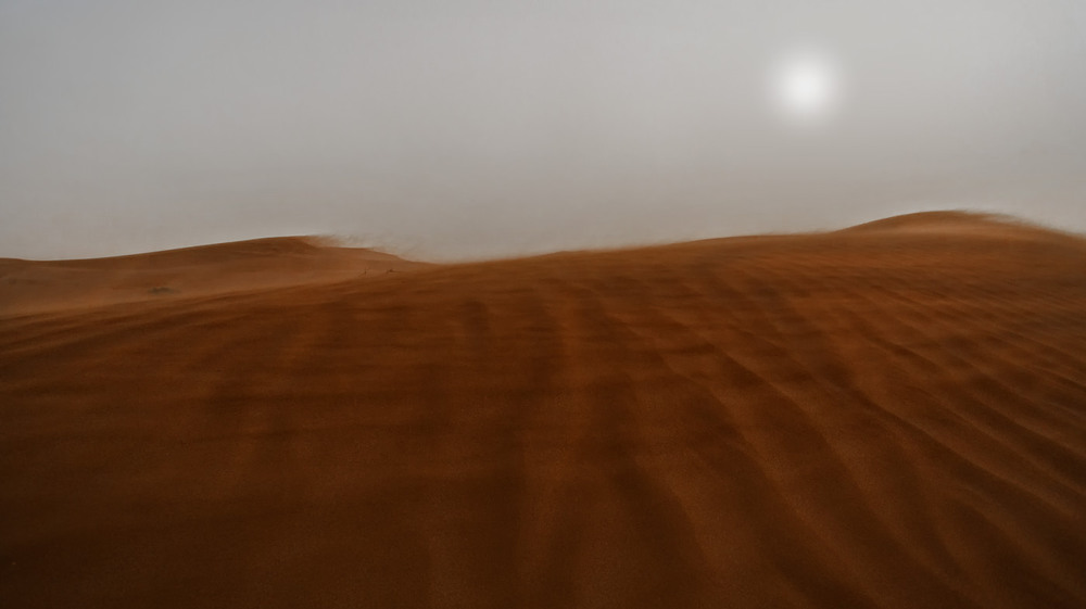 Фотографія В объятиях песчаной бури...Иран! / Александр Вивчарик / photographers.ua